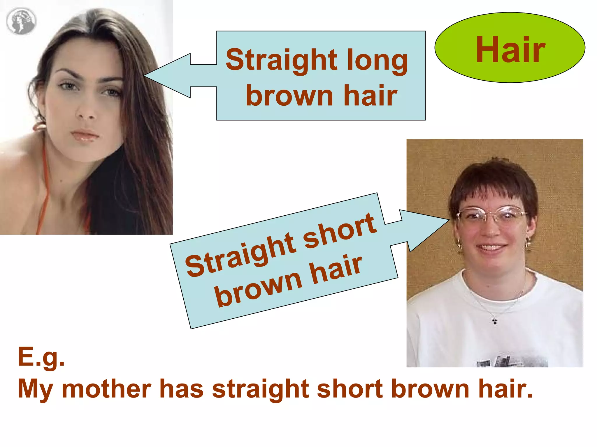 Hair Straight short brown hair Straight long  brown hair E.g. My mother has straight short brown hair. 