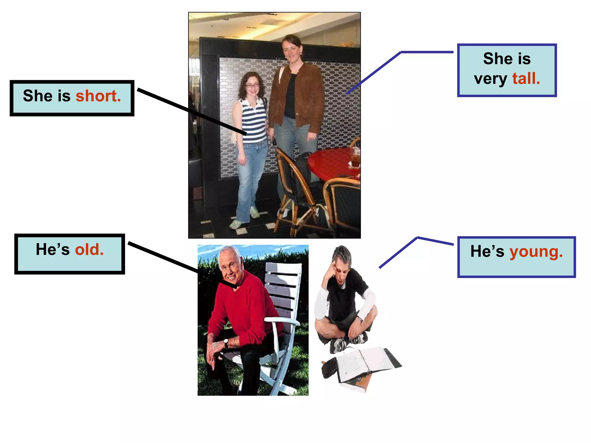 She is  short. She is very  tall. He’s  young. He’s  old. 
