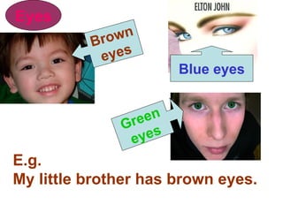 Eyes Brown eyes Blue eyes Green eyes E.g. My little brother has brown eyes. 