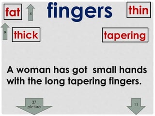 fingers 
fat thin 
thick tapering 
A woman has got small hands 
with the long tapering fingers. 
9 
4 
11 
37 
picture 
 