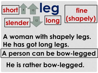 short leg 
long 
4 10 
slender 
fine 
(shapely) 
12 
A woman with shapely legs. 
He has got long legs. 
A person can be bow-legged 
He is rather bow-legged. 
 