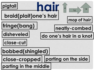 hair 
pigtail 
braid(plait)one’s hair 
fringe(bang) 
4 
16 
14 
disheveled do one’s hair in a knot 
close-cut 
bobbed(shingled) 
close-cropped 
neatly-combed 
parting in the middle 
mop of hair 
parting on the side 
 