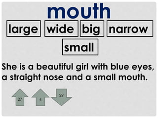mouth 
large big 
wide narrow 
small 
She is a beautiful girl with blue eyes, 
a straight nose and a small mouth. 
27 4 
29 
 