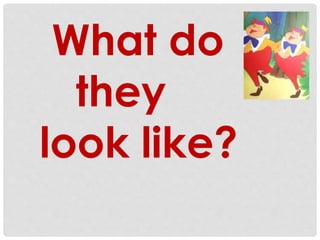 What do 
they 
look like? 
 