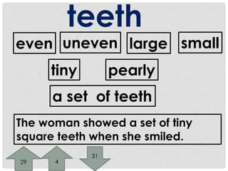 teeth 
even uneven large small 
tiny pearly 
a set of teeth 
The woman showed a set of tiny 
square teeth when she smiled. 
29 4 
31 
 