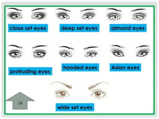 close set eyes deep set eyes almond eyes 
protruding eyes 
hooded eyes Asian eyes 
wide set eyes 
24 
 
