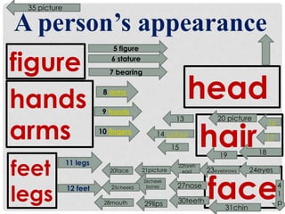 A person’s appearance 
figure 
hands 
20 picture 
arms 
feet 
legs 
hair 
face 
5 figure 
6 stature 
7 bearing 
8 arms 
9 hands 
10 fingers 
11 legs 
12 feet 
head 
13 
14 colour 17 
22foreh 
ead 
27nose 
30teeth 
16 
15 
19 18 
21picture 
26cheek 
bones 
29lips 
20face 
25cheeks 
28mouth 
23eyebrows 24eyes 
31chin 
35 picture 
4 
1 
p 
 