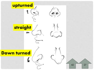 upturned 
straight 
Down turned 
42 27 
 