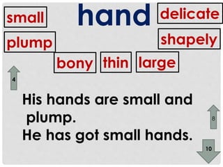 small hand 
plump 
thin 
bony 
delicate 
shapely 
large 
His hands are small and 
plump. 
He has got small hands. 
4 
10 
8 
 