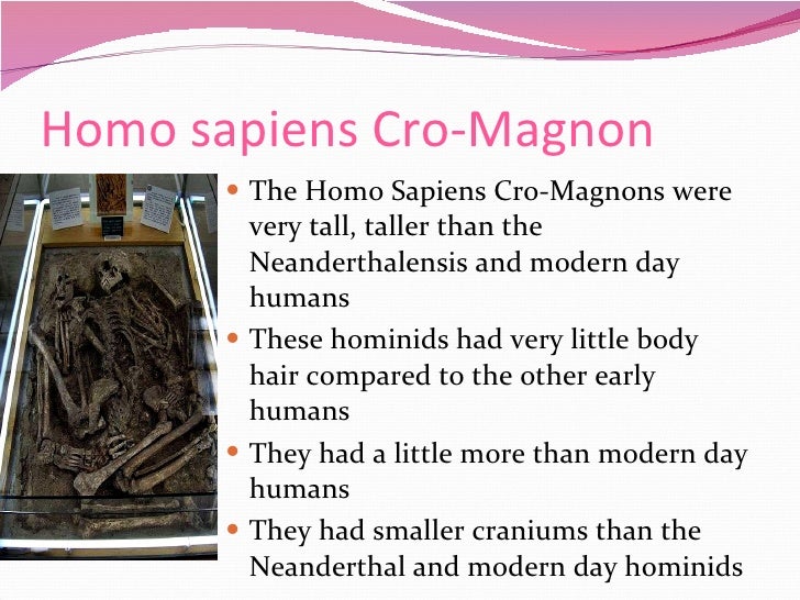 chloe appearance of early humans sapiens brain size