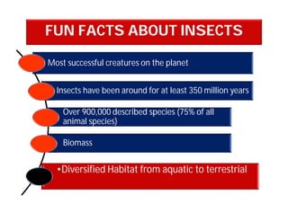 FUN FACTS ABOUT INSECTS
Most successful creatures on the planet
Insects have been around for at least 350 million years
Over 900,000 described species (75% of all
animal species)
Biomass
•Diversified Habitat from aquatic to terrestrial
 