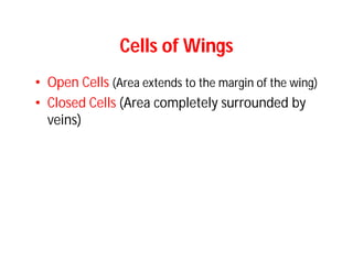 Cells of Wings
• Open Cells (Area extends to the margin of the wing)
• Closed Cells (Area completely surrounded by
veins)
 