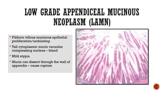 Lamn Appendix Algorithm APPENDICEAL MUCINOUS LESIONS oncology.pptx