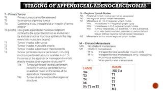 Lamn Appendix Algorithm APPENDICEAL MUCINOUS LESIONS oncology.pptx