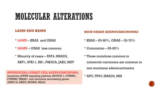 Lamn Appendix Algorithm APPENDICEAL MUCINOUS LESIONS oncology.pptx