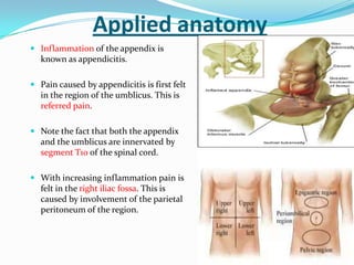 Applied anatomy
 Inflammation of the appendix is
  known as appendicitis.

 Pain caused by appendicitis is first felt
  in the region of the umblicus. This is
  referred pain.

 Note the fact that both the appendix
  and the umblicus are innervated by
  segment T10 of the spinal cord.

 With increasing inflammation pain is
  felt in the right iliac fossa. This is
  caused by involvement of the parietal
  peritoneum of the region.
 
