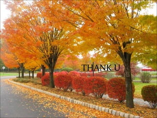 Thank u

          THANK U
 