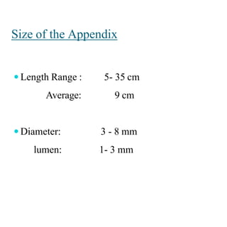 Appendicitis | PPTX