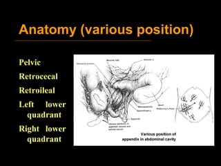 Anatomy (various position) Pelvic Retrocecal Retroileal Left lower quadrant Right lower quadrant 