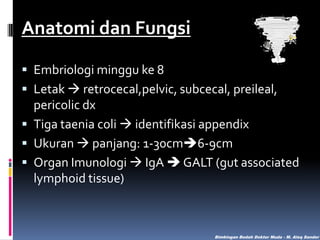Anatomi dan Fungsi
 Embriologi minggu ke 8
 Letak  retrocecal,pelvic, subcecal, preileal,
pericolic dx
 Tiga taenia coli  identifikasi appendix

 Ukuran  panjang: 1-30cm6-9cm
 Organ Imunologi  IgA  GALT (gut associated
lymphoid tissue)

Bimbingan Bedah Dokter Muda - M. Aleq Sander

 
