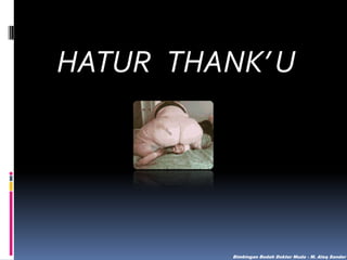 HATUR THANK’ U

Bimbingan Bedah Dokter Muda - M. Aleq Sander

 