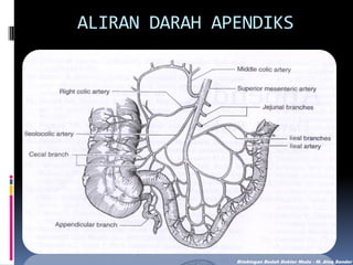 ALIRAN DARAH APENDIKS

Bimbingan Bedah Dokter Muda - M. Aleq Sander

 