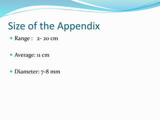 Appendicitis PPT By Dr Anil Kumar,Assist Prof( Gen Surgery) AIIMS ...