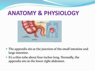 appendicitis-190528160323 (1).pdf