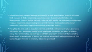 • Inflammation leads to edema leading to extravasation of fluids. Mucosa which produces mucinnous
fluids increases its fluids , intraluminal pressure increases . Causes lymphoid irritation and
Hypertrophied , majority being at the base. Causes the veins draining the appendix to collapse due to
increased intraluminal pressure leading to more fluid retention. Continues to involve arterial
involvement. Blood stasis, is a good medium of bacteria to over produce
• If caught at this time, leads to resolution..but if not controlled, perforation and rupture. Later cause
abscess with pus。Appendix is supplied by the appendiceal artery which is a branch of illeocolic
artery. It's a terminal artery and small too, so with little pressure it's overcomed. Then due to low
blood there is ischemia leading to necrosis and gangrene, sloughing off leading to perforation. If not
localized by post immunity or omentum, it becomes generalized.
 