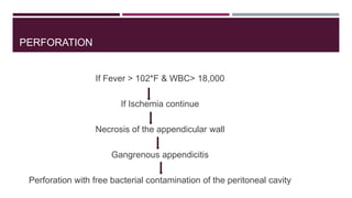 PERFORATION
If Fever > 102*F & WBC> 18,000
If Ischemia continue
Necrosis of the appendicular wall
Gangrenous appendicitis
Perforation with free bacterial contamination of the peritoneal cavity
 