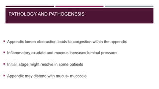 Comprehensive Overview of Acute Appendicitis: Anatomy, Pathology ...