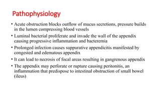 Appendicitis.pptx appendicitis krchn2026 | PPTX