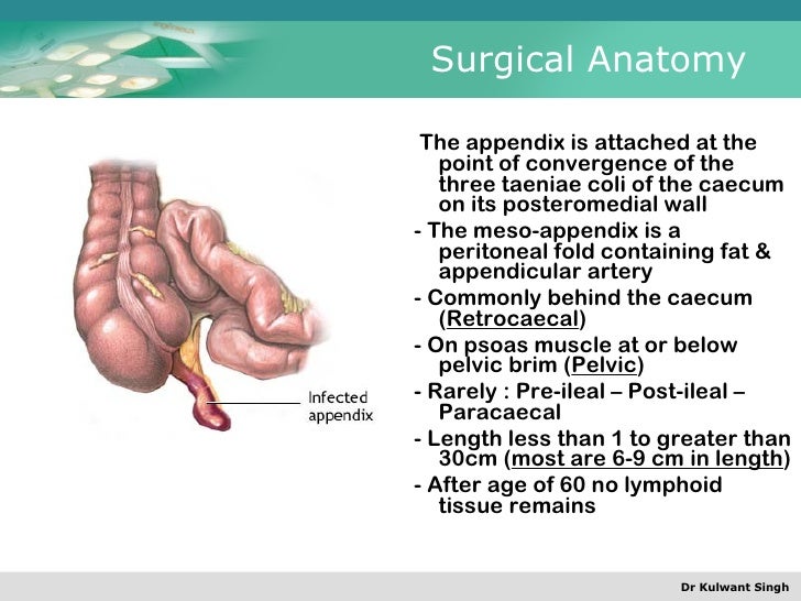 anatomy and physiology final exam Test your knowledge with the human anatomy and physiology ii final exam quiz. anatomy and physiology final exam Test your knowledge with the human anatomy and physiology ii final exam quiz.