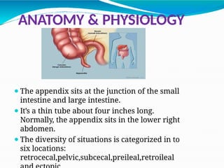 APPENDICITIS 2.pptx7777777777777777777777777777777777 | PPTX