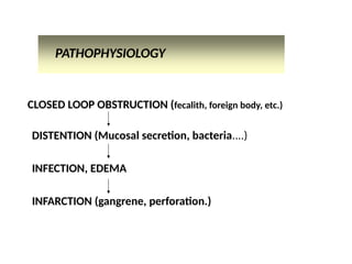 CLOSED LOOP OBSTRUCTION (fecalith, foreign body, etc.)
DISTENTION (Mucosal secretion, bacteria....)
INFECTION, EDEMA
INFARCTION (gangrene, perforation.)
PATHOPHYSIOLOGY
 