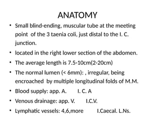 ANATOMY
• Small blind-ending, muscular tube at the meeting
point of the 3 taenia coli, just distal to the I. C.
junction.
• located in the right lower section of the abdomen.
• The average length is 7.5-10cm(2-20cm)
• The normal lumen (< 6mm): , irregular, being
encroached by multiple longitudinal folds of M.M.
• Blood supply: app. A. I. C. A
• Venous drainage: app. V. I.C.V.
• Lymphatic vessels: 4,6,more I.Caecal. L.Ns.
 