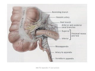 ABA-The Appendix- 4th
year Lectures
 