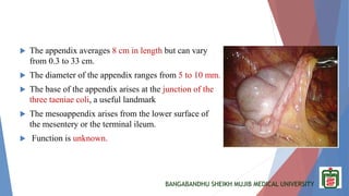 BANGABANDHU SHEIKH MUJIB MEDICAL UNIVERSITY
 The appendix averages 8 cm in length but can vary
from 0.3 to 33 cm.
 The diameter of the appendix ranges from 5 to 10 mm.
 The base of the appendix arises at the junction of the
three taeniae coli, a useful landmark
 The mesoappendix arises from the lower surface of
the mesentery or the terminal ileum.
 Function is unknown.
 