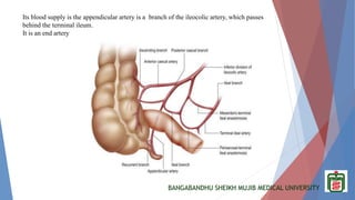 BANGABANDHU SHEIKH MUJIB MEDICAL UNIVERSITY
Its blood supply is the appendicular artery is a branch of the ileocolic artery, which passes
behind the terminal ileum.
It is an end artery
 