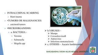BANGABANDHU SHEIKH MUJIB MEDICAL UNIVERSITY
 INTRALUMINAL SCARRING
 blunt trauma
 •TUMORS OR MALIGNANCIES
 carcinoid tumors
 •MICROORGANISMS:
 a. BACTERIA –
 Yersinia
 Salmonella
 Shigella spp
 b.VIRUSES –
 Mumps
 CoxsackievirusB
 Adenovirus
 Infectious mononucleosis
 c. OTHERS - Ascaris lumbricoides
 