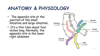 ANATOMY & PHYSIOLOGY
• The appendix sits at the
junction of the small
intestine and large intestine.
• It’s a thin tube about four
inches long. Normally, the
appendix sits in the lower
right abdomen
 