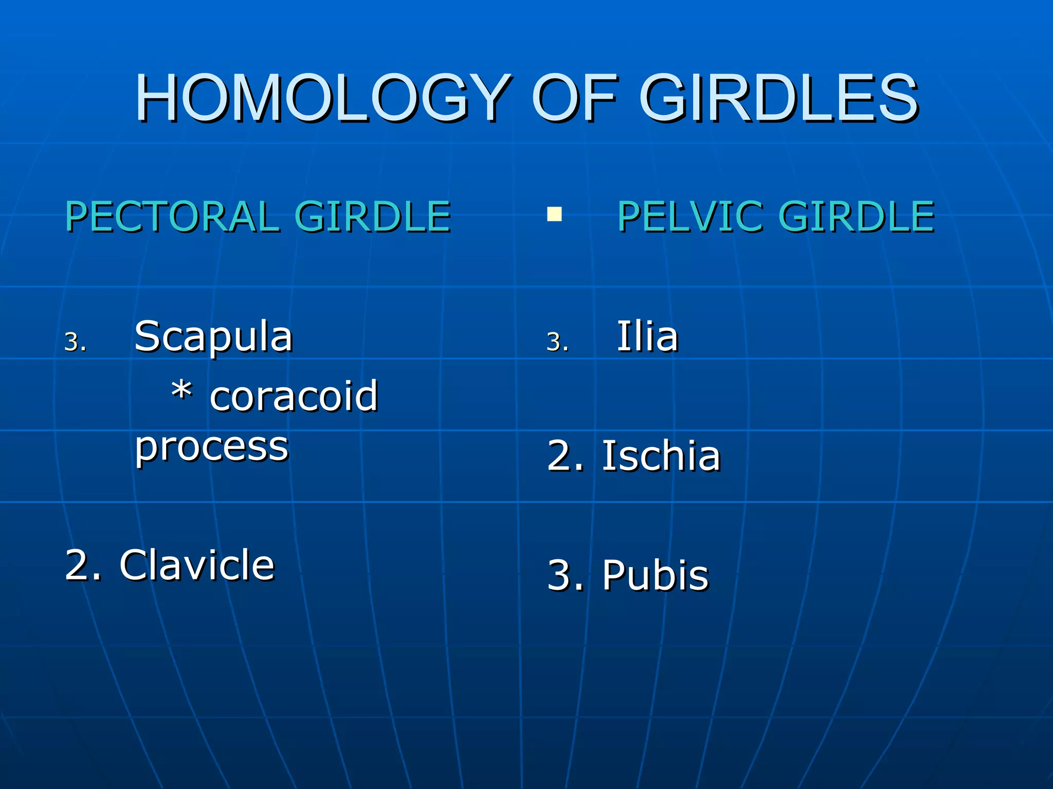 HOMOLOGY OF GIRDLES PECTORAL GIRDLE Scapula * coracoid process 2. Clavicle PELVIC GIRDLE Ilia 2. Ischia 3. Pubis  