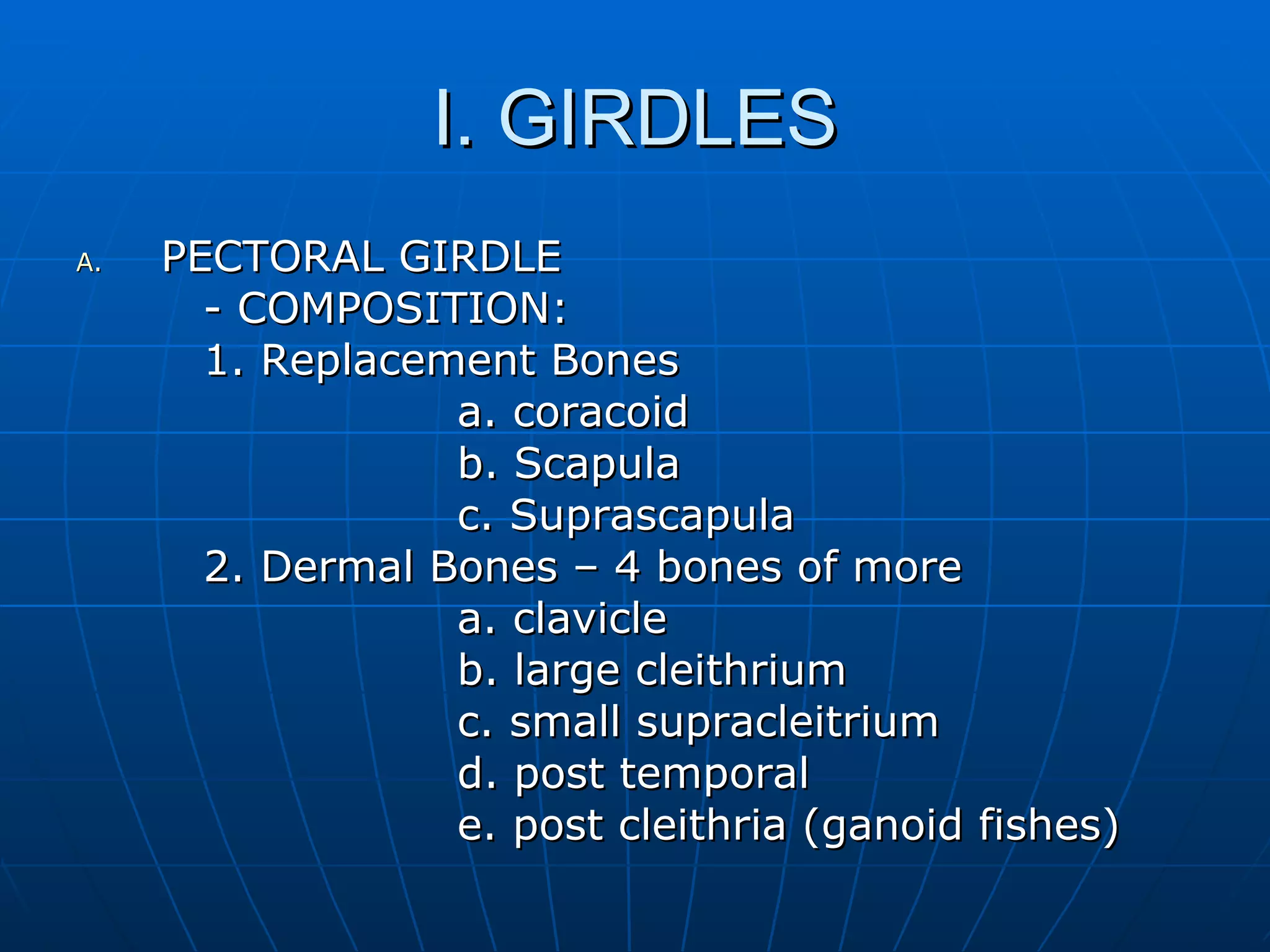 I. GIRDLES PECTORAL GIRDLE - COMPOSITION: 1. Replacement Bones a. coracoid b. Scapula c. Suprascapula 2. Dermal Bones – 4 bones of more a. clavicle b. large cleithrium c. small supracleitrium d. post temporal e. post cleithria (ganoid fishes) 