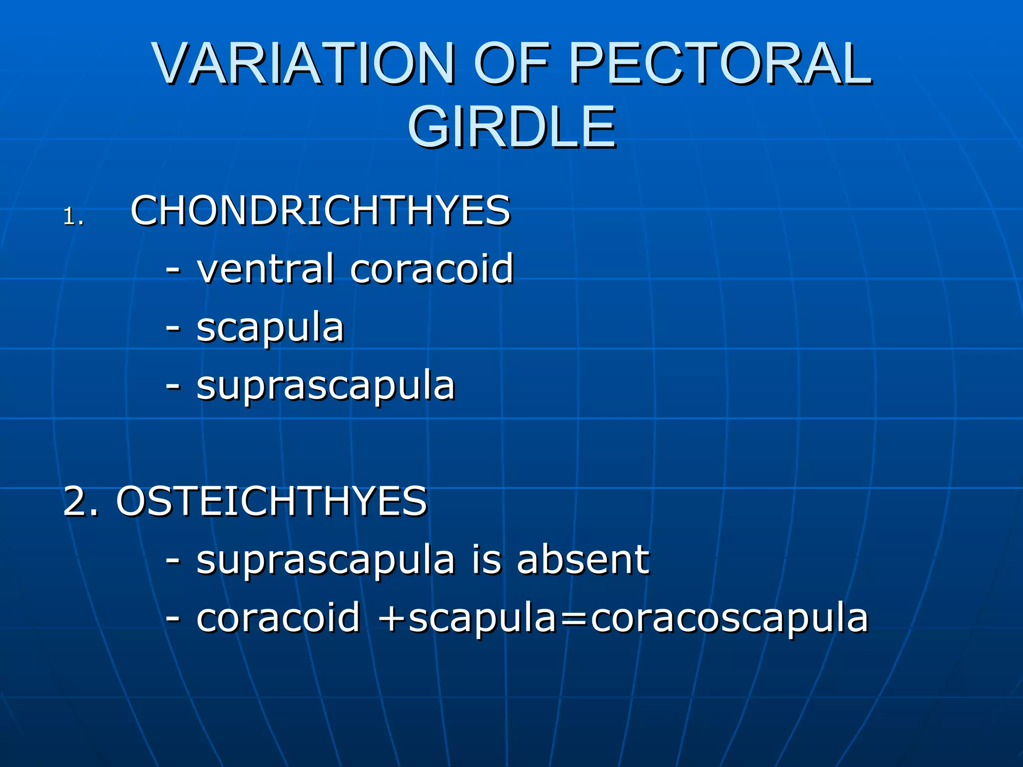 VARIATION OF PECTORAL GIRDLE CHONDRICHTHYES - ventral coracoid - scapula - suprascapula 2. OSTEICHTHYES - suprascapula is absent - coracoid +scapula=coracoscapula 
