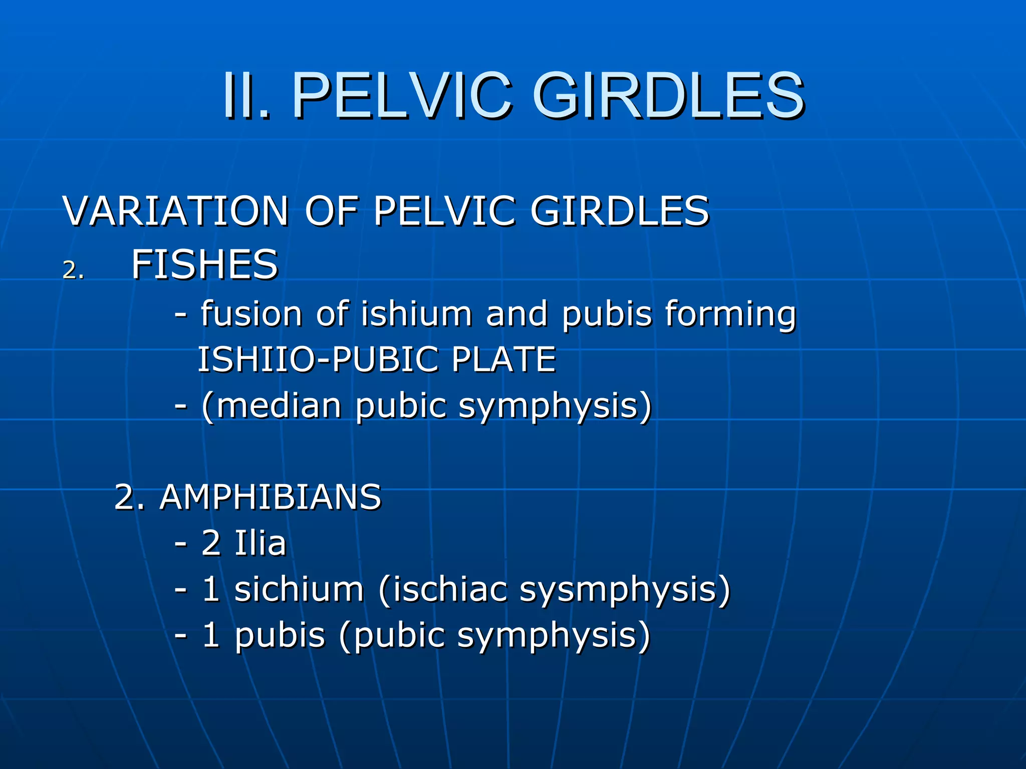 II. PELVIC GIRDLES VARIATION OF PELVIC GIRDLES FISHES - fusion of ishium and pubis forming  ISHIIO-PUBIC PLATE  - (median pubic symphysis) 2. AMPHIBIANS - 2 Ilia - 1 sichium (ischiac sysmphysis) - 1 pubis (pubic symphysis) 
