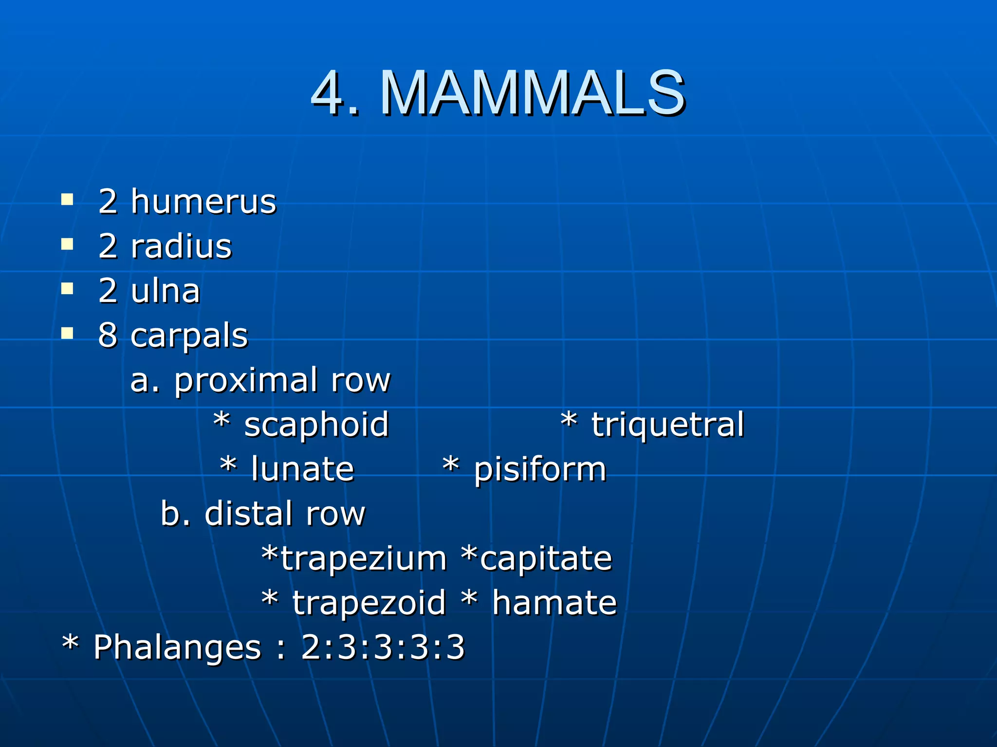 4. MAMMALS 2 humerus 2 radius 2 ulna 8 carpals a. proximal row * scaphoid * triquetral   * lunate   * pisiform b. distal row *trapezium *capitate * trapezoid * hamate * Phalanges : 2:3:3:3:3 