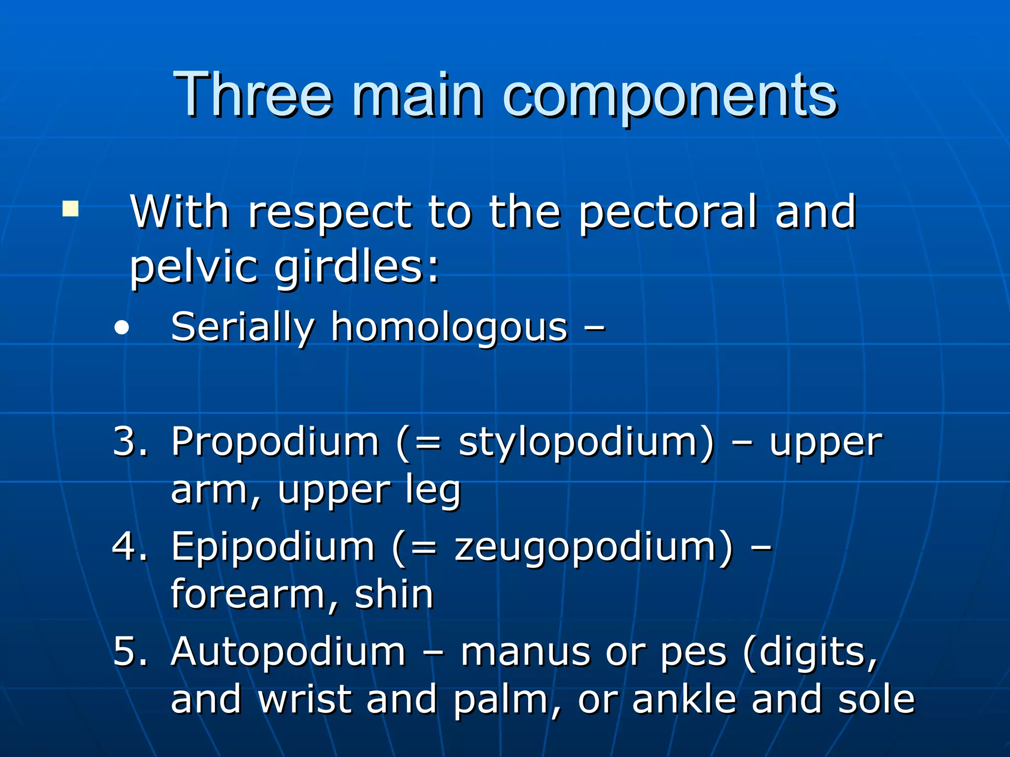 Three main components With respect to the pectoral and pelvic girdles: Serially homologous –  Propodium (= stylopodium) – upper arm, upper leg Epipodium (= zeugopodium) – forearm, shin Autopodium – manus or pes (digits, and wrist and palm, or ankle and sole 