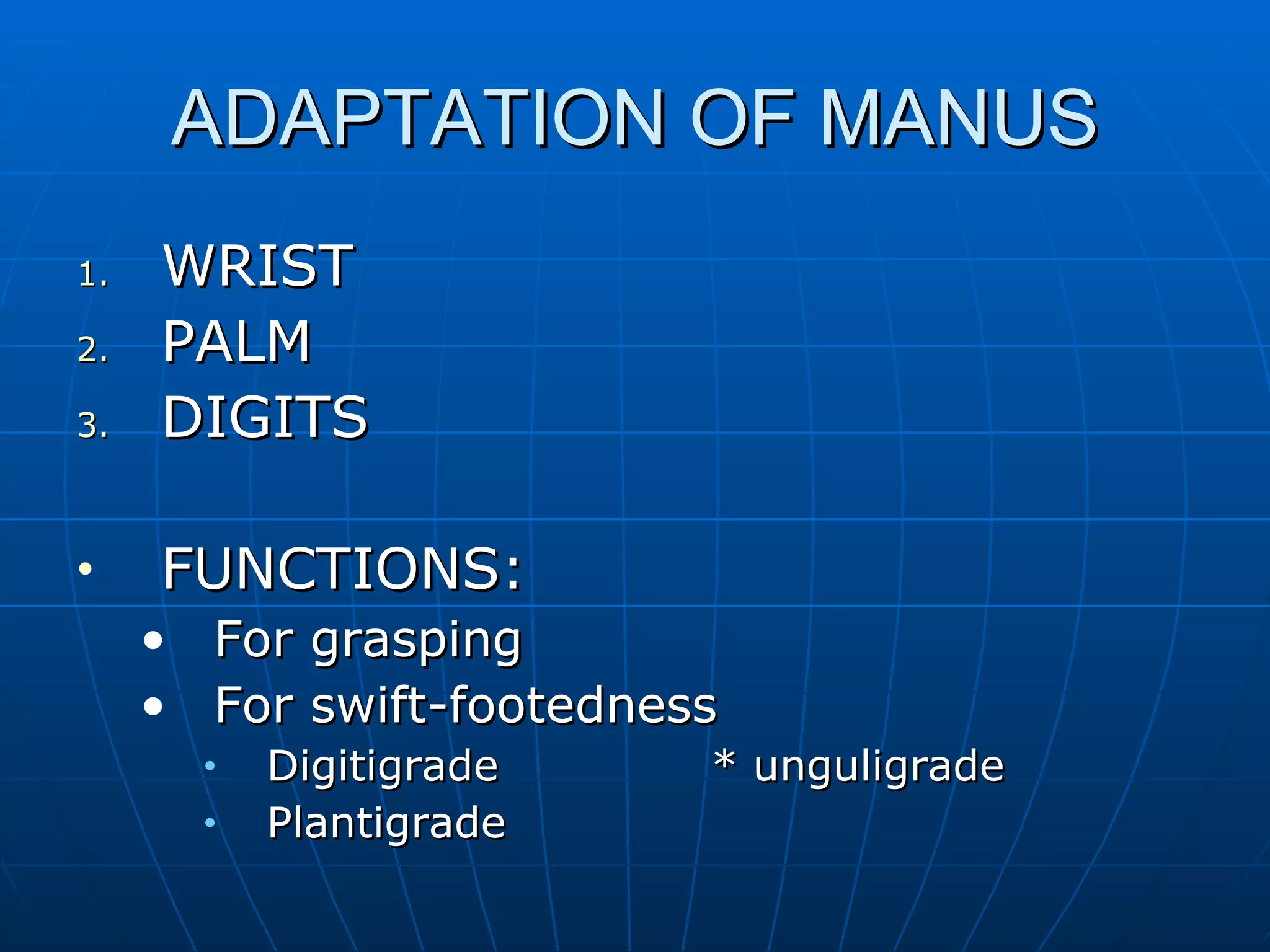 ADAPTATION OF MANUS WRIST PALM DIGITS FUNCTIONS: For grasping For swift-footedness Digitigrade * unguligrade Plantigrade  