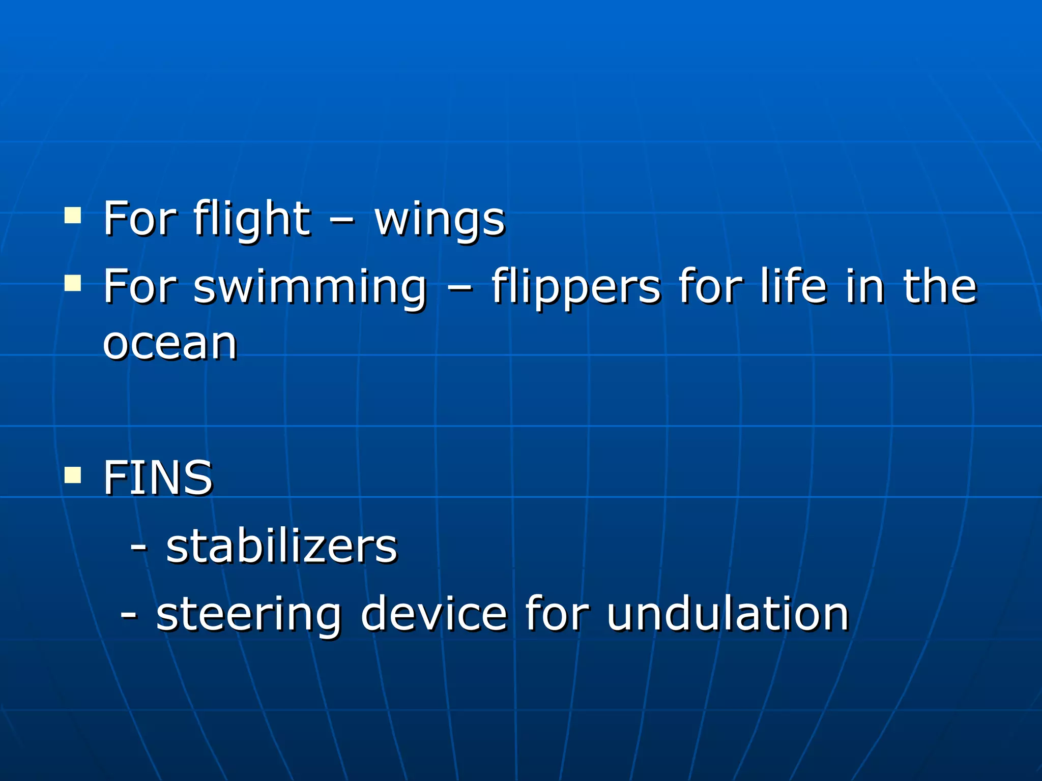 For flight – wings For swimming – flippers for life in the ocean FINS - stabilizers  - steering device for undulation 