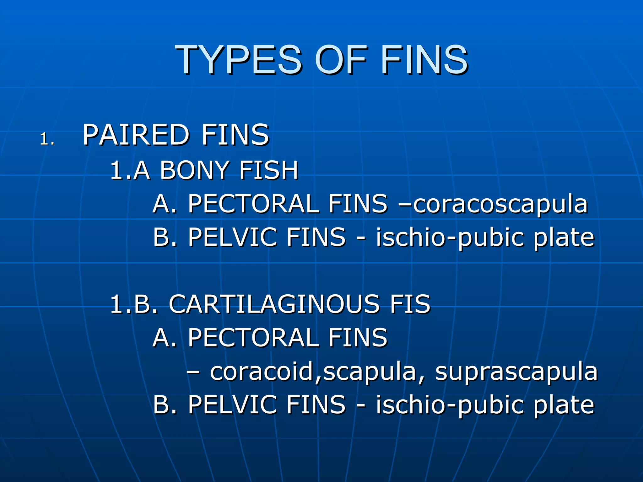 TYPES OF FINS PAIRED FINS 1.A BONY FISH   A. PECTORAL FINS –coracoscapula   B. PELVIC FINS - ischio-pubic plate 1.B. CARTILAGINOUS FIS   A. PECTORAL FINS  –  coracoid,scapula, suprascapula   B. PELVIC FINS - ischio-pubic plate 